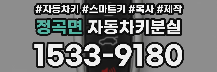 정곡면 자동차키분실