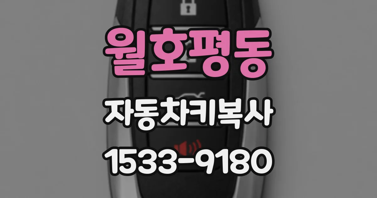 월호평동 자동차키복사