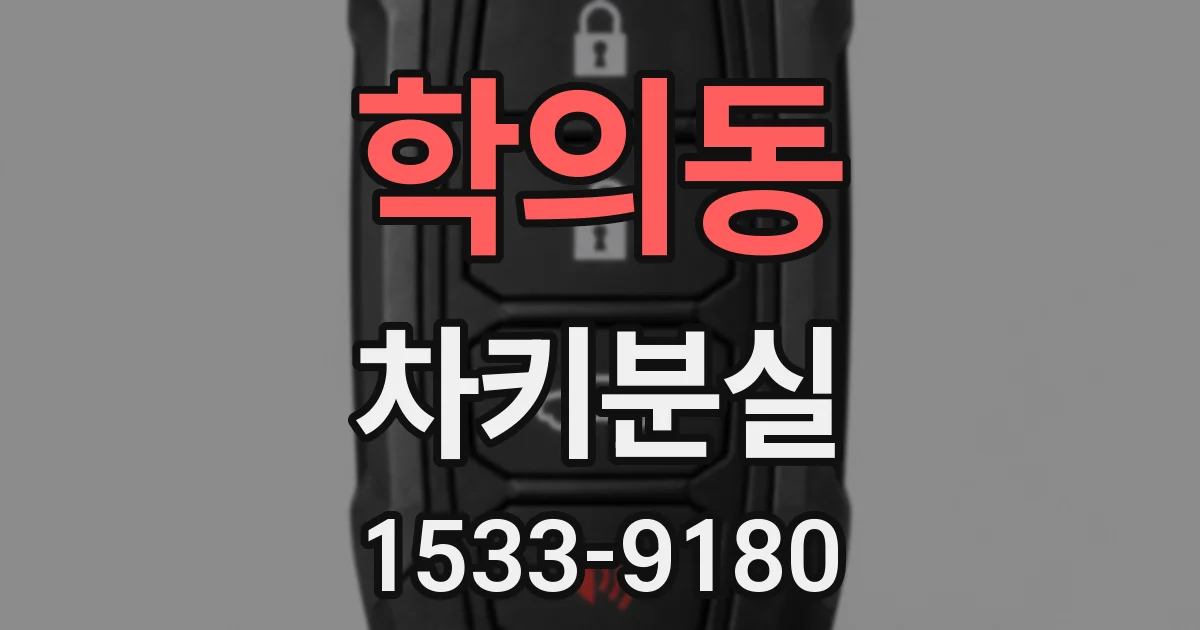 학의동 차키분실