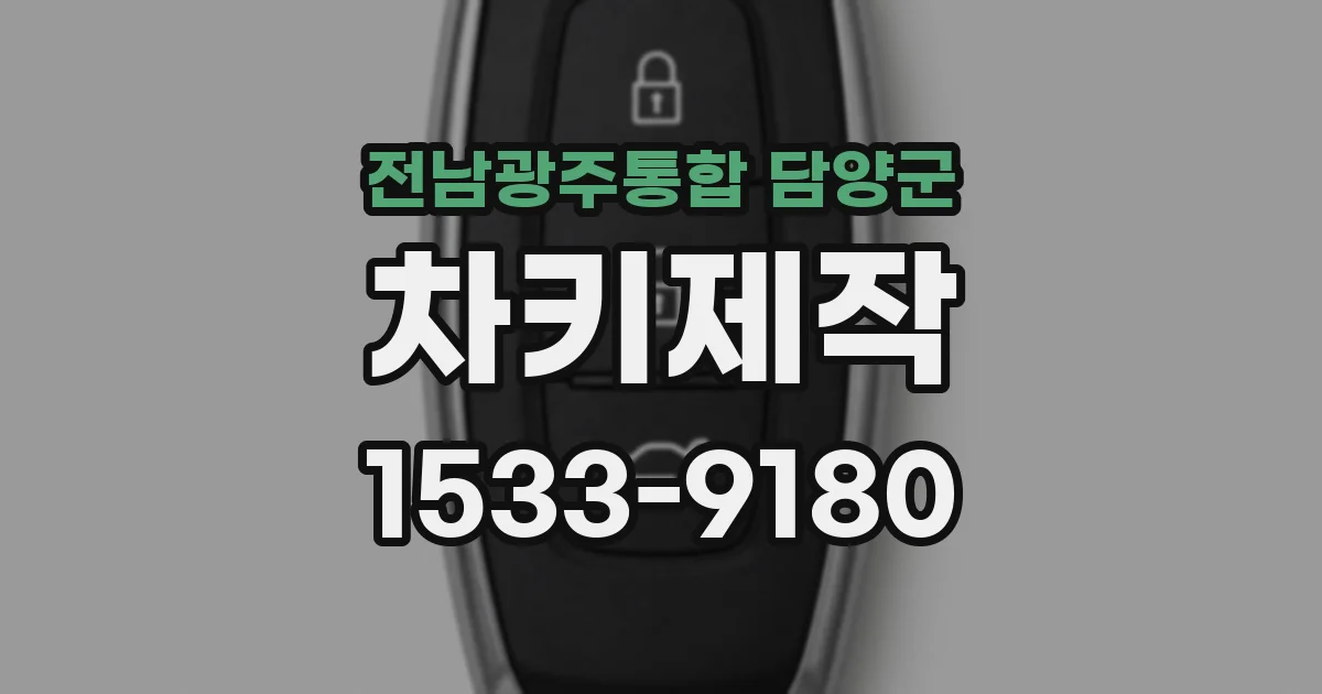 전남광주통합 담양군 차키제작