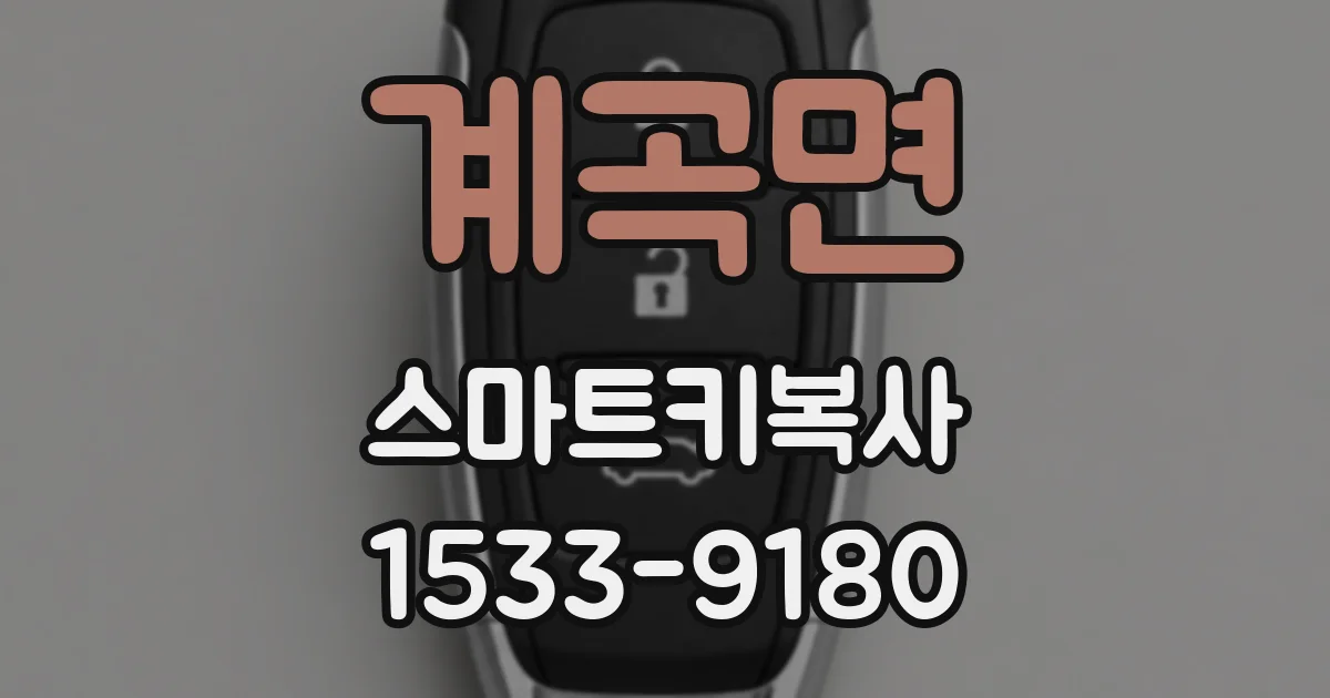 계곡면 스마트키복사