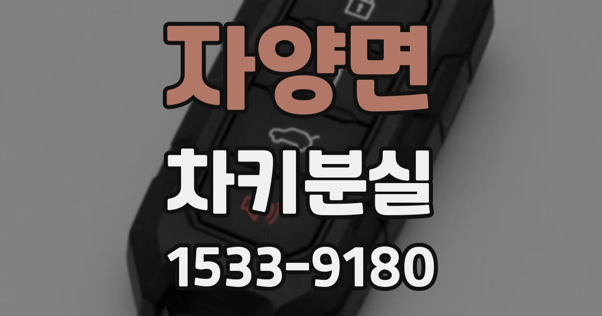 자양면 차키분실