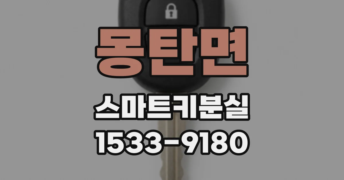 몽탄면 스마트키분실