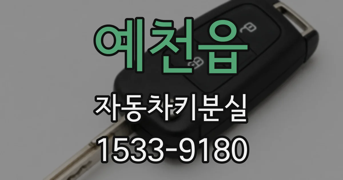 예천읍 자동차키분실