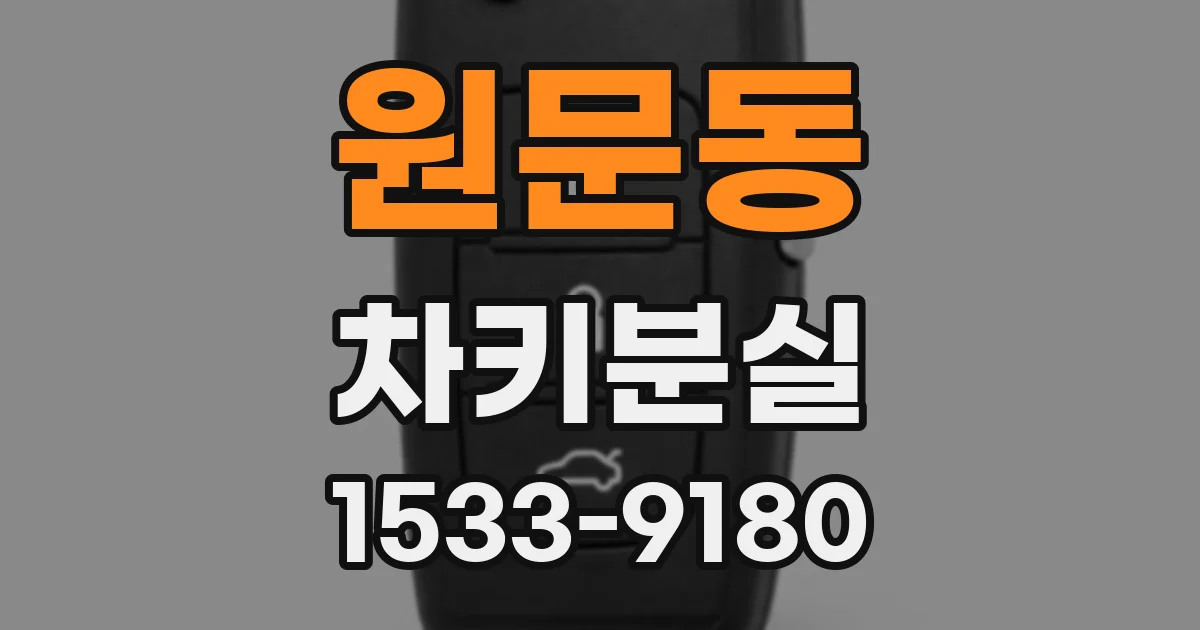 원문동 차키분실