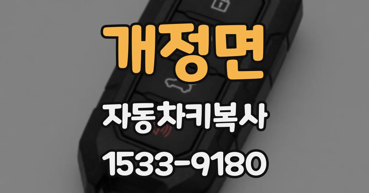 개정면 자동차키복사