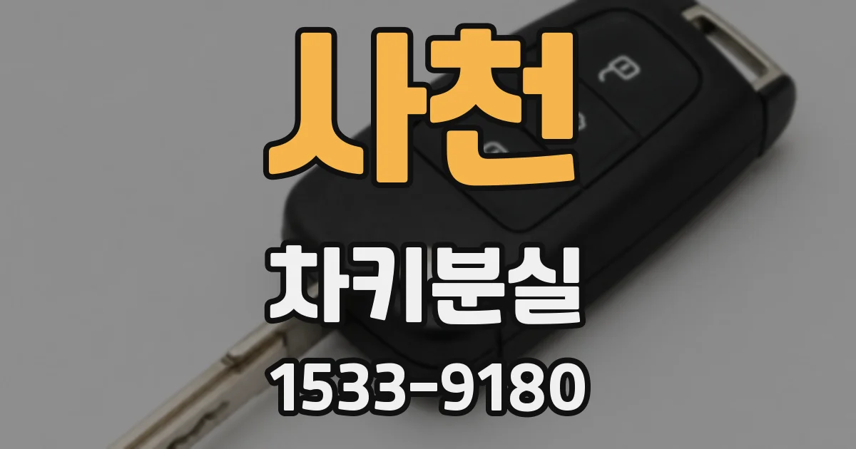 사천 차키분실