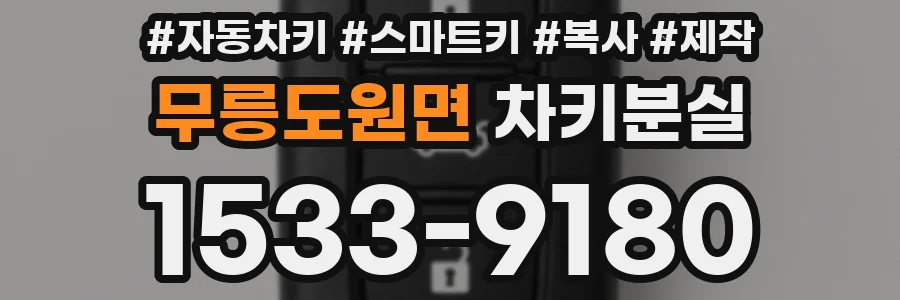 무릉도원면 차키분실