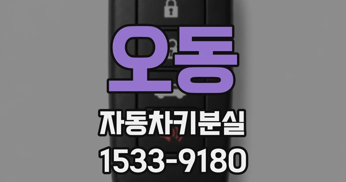 오동 자동차키분실