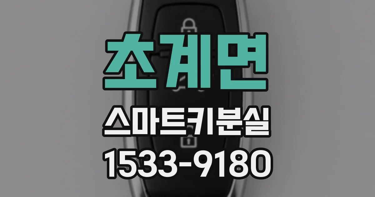 초계면 스마트키분실