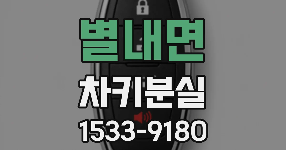 별내면 차키분실