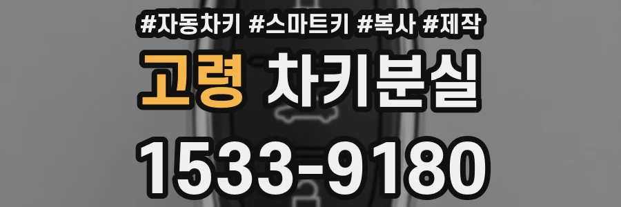 고령 차키분실