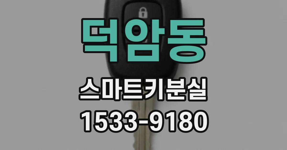 덕암동 스마트키분실