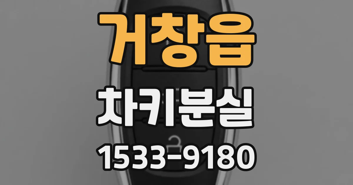 거창읍 차키분실
