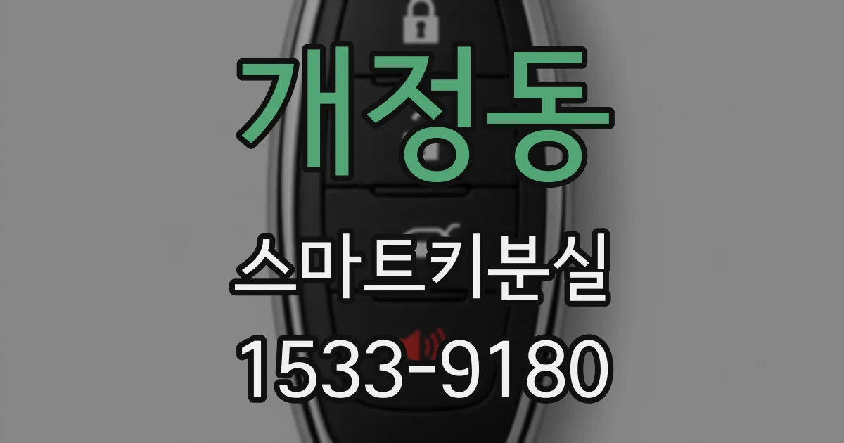 개정동 스마트키분실