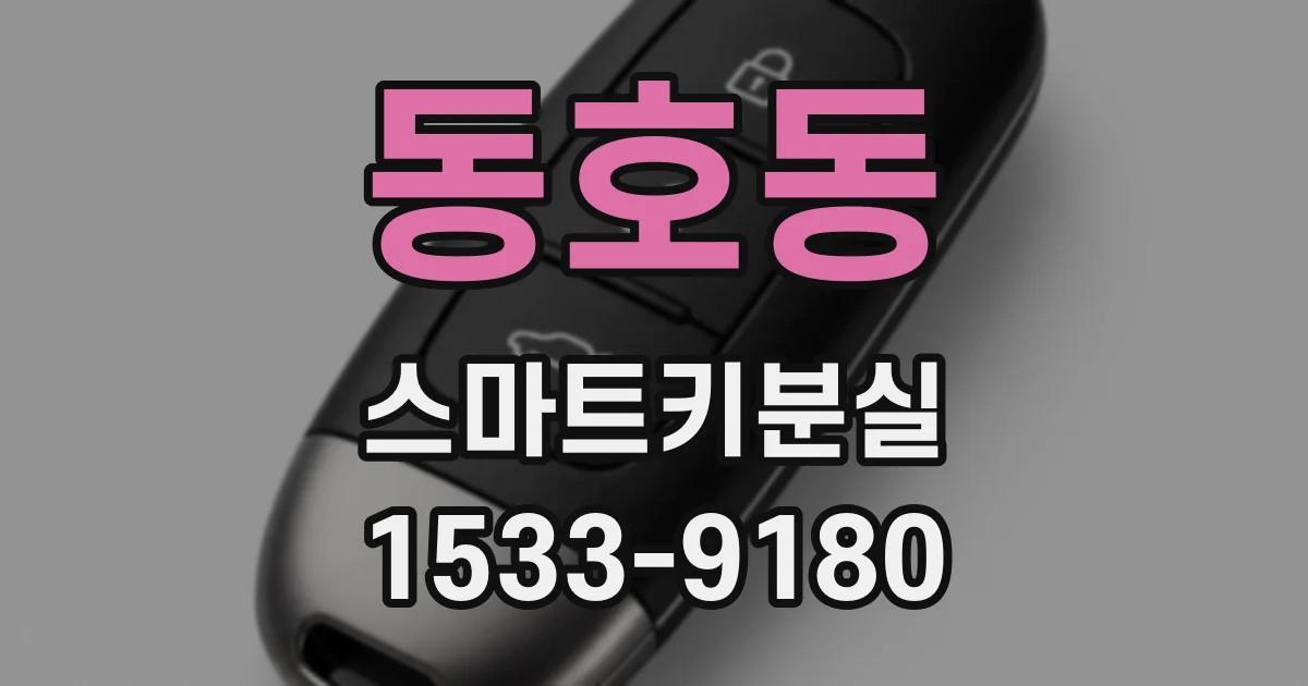 동호동 스마트키분실