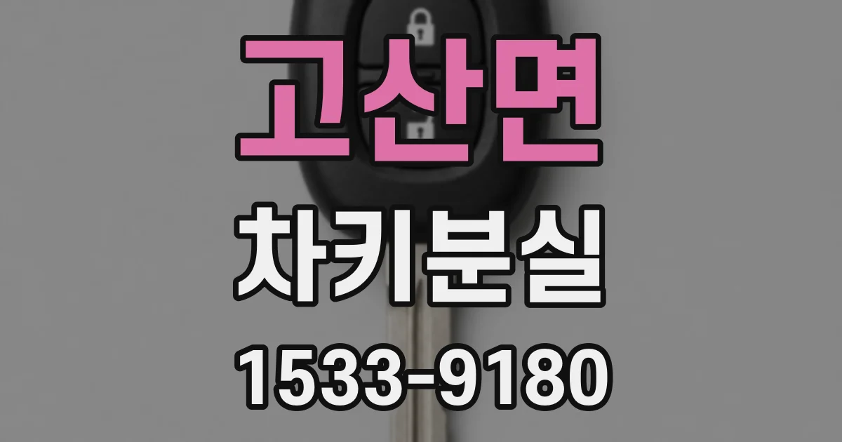 고산면 차키분실