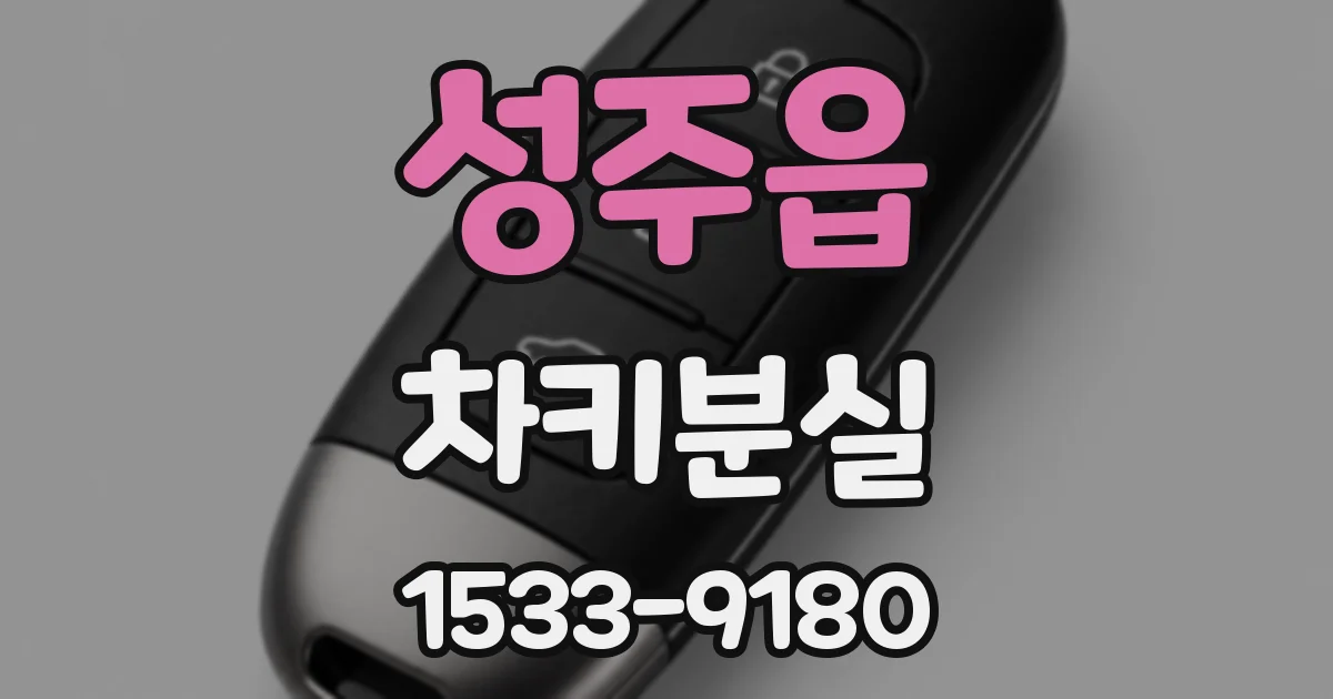성주읍 차키분실