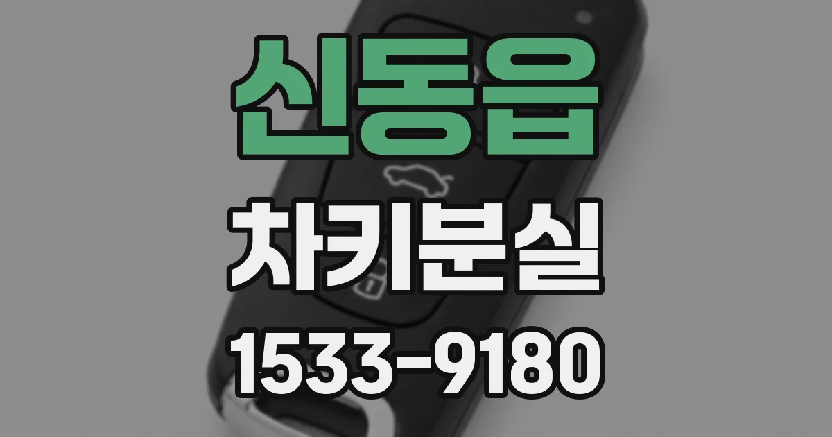 신동읍 차키분실
