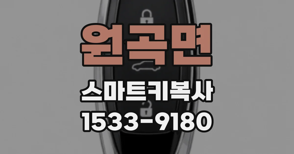 원곡면 스마트키복사
