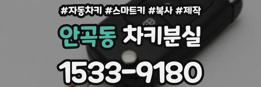 안곡동 차키분실
