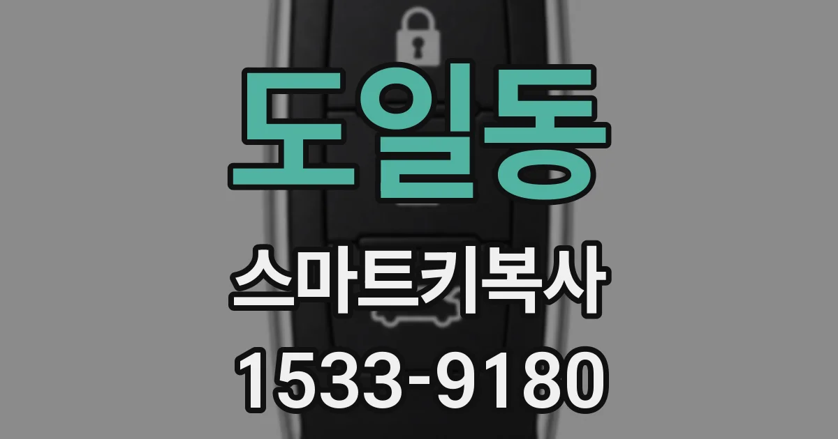 도일동 스마트키복사