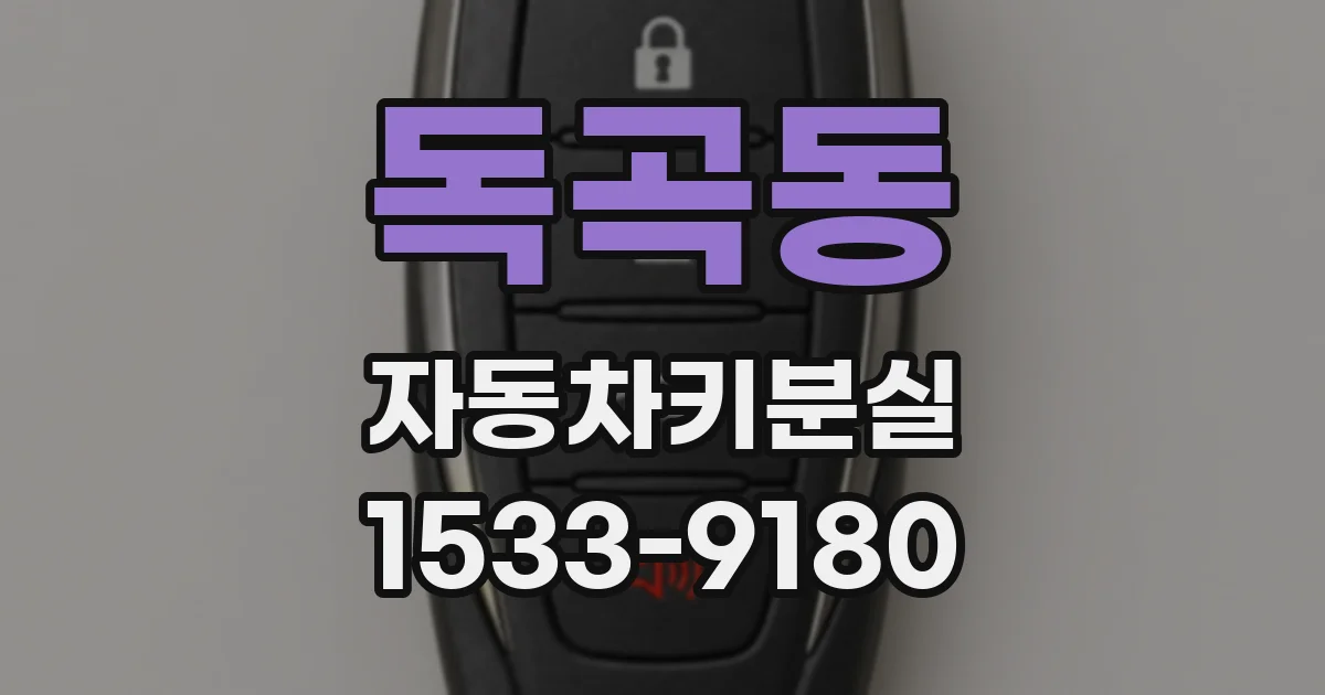 독곡동 자동차키분실