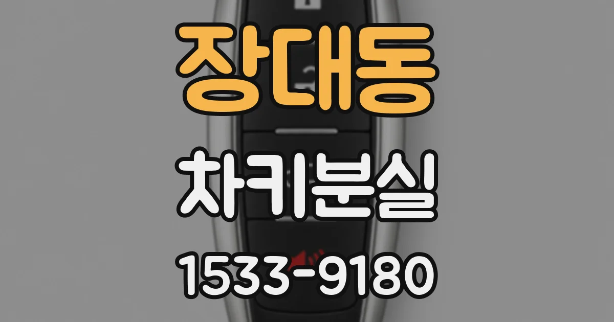 장대동 차키분실