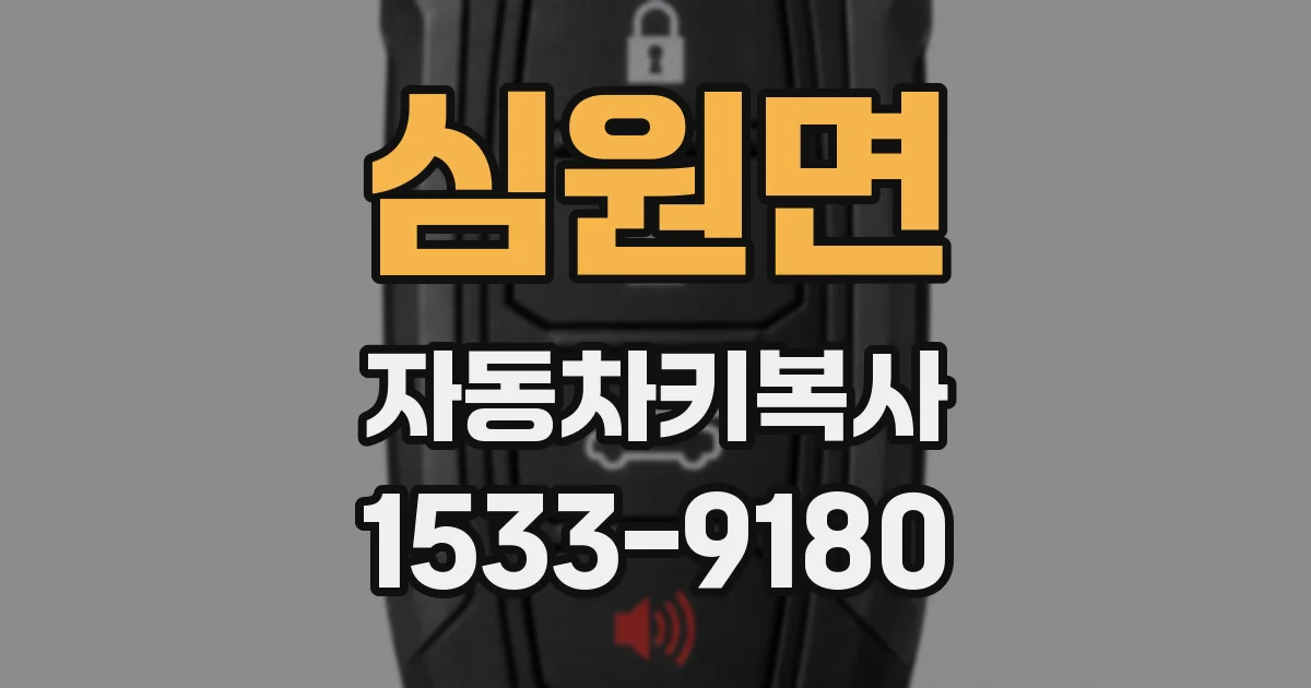 심원면 자동차키복사
