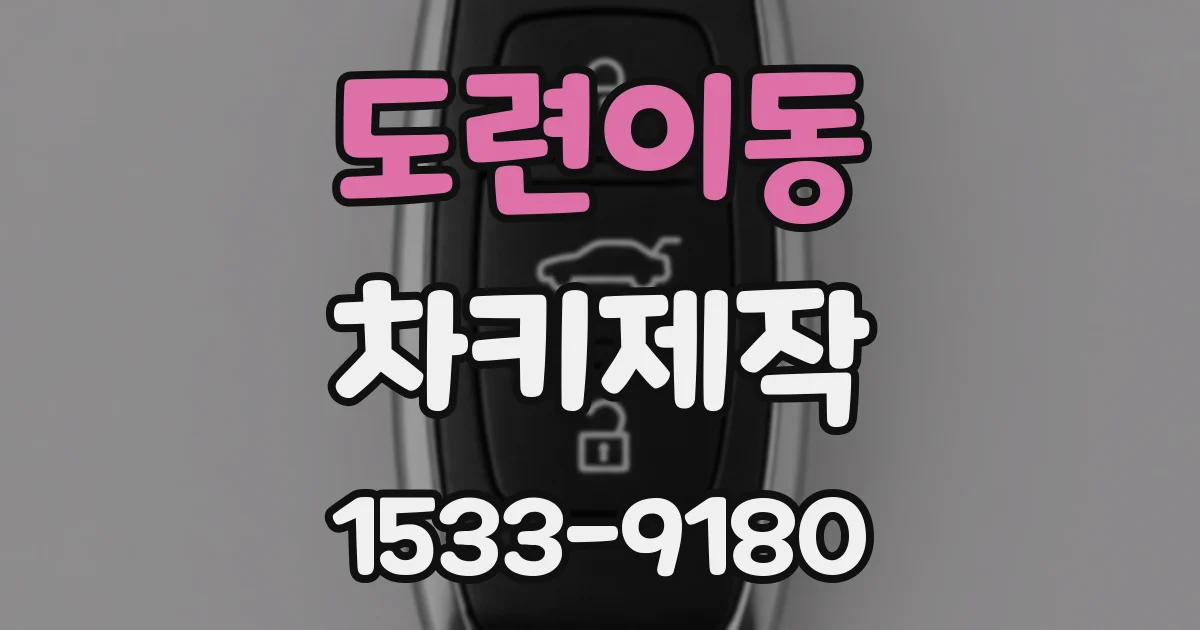 도련이동 차키제작