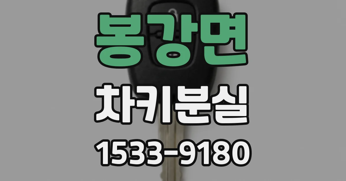 봉강면 차키분실