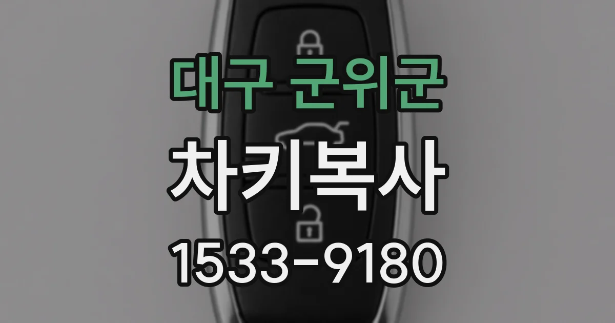 대구 군위군 차키복사