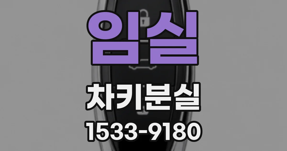 임실 차키분실