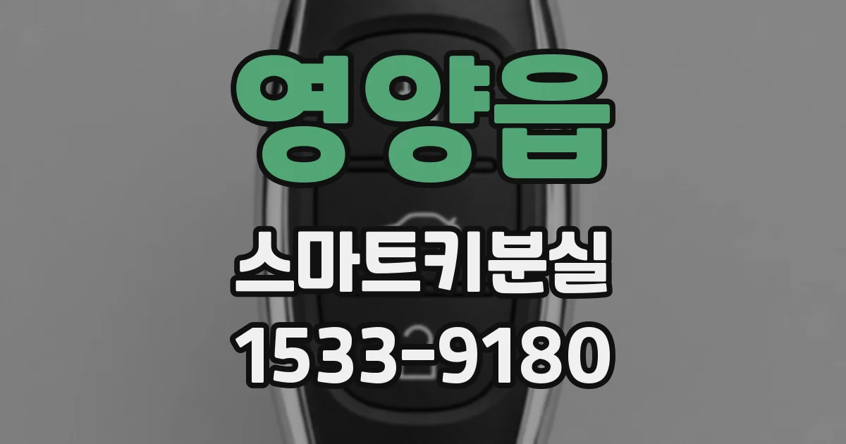 영양읍 스마트키분실
