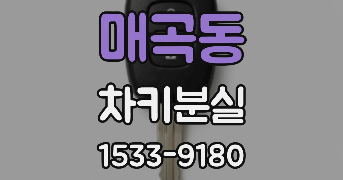 매곡동 차키분실