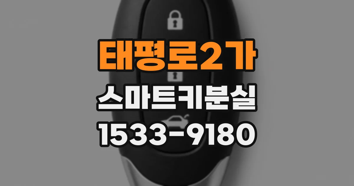 태평로2가 스마트키분실
