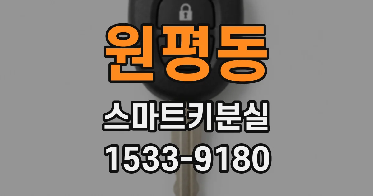 원평동 스마트키분실