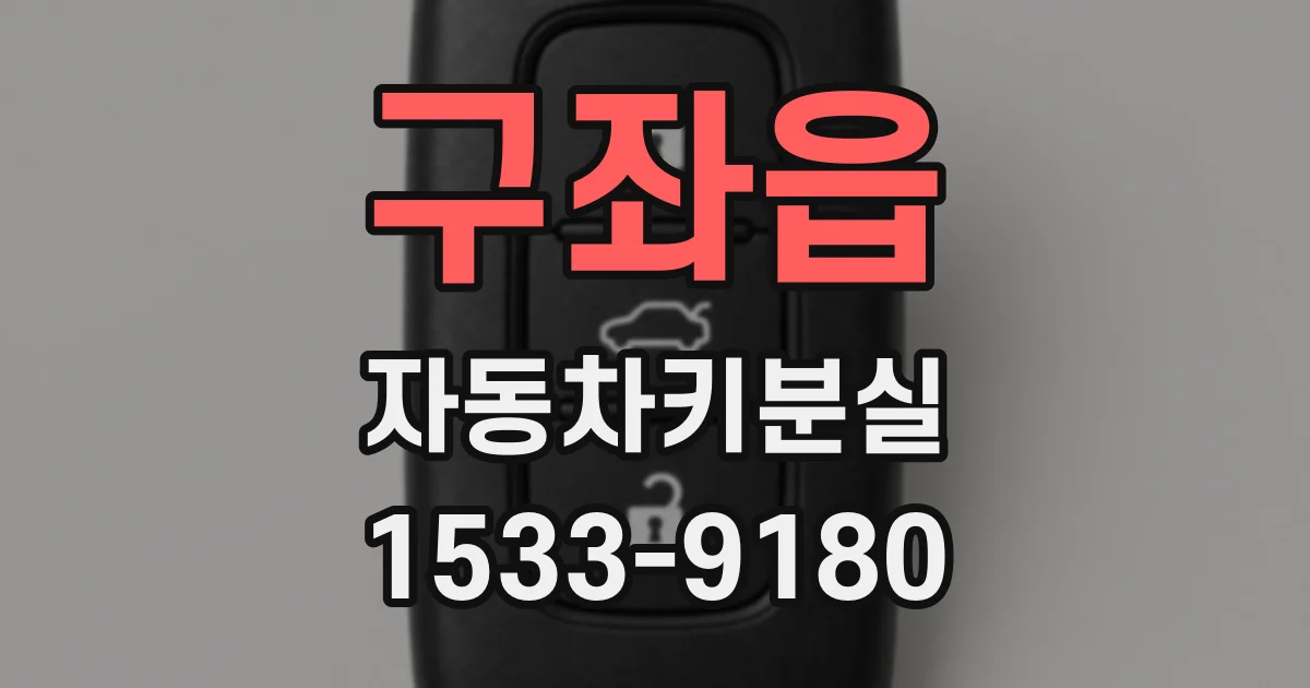 구좌읍 자동차키분실