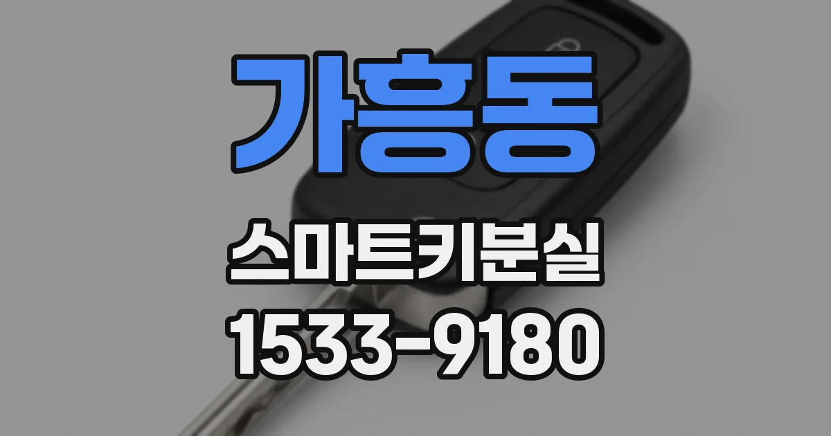 가흥동 스마트키분실
