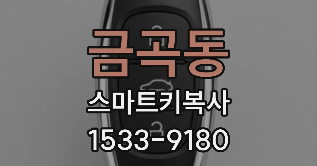 금곡동 스마트키복사