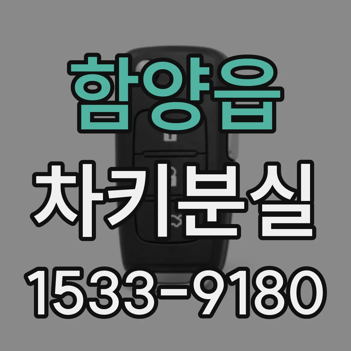 함양읍 차키분실