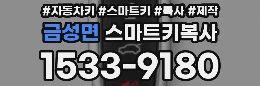 금성면 스마트키복사