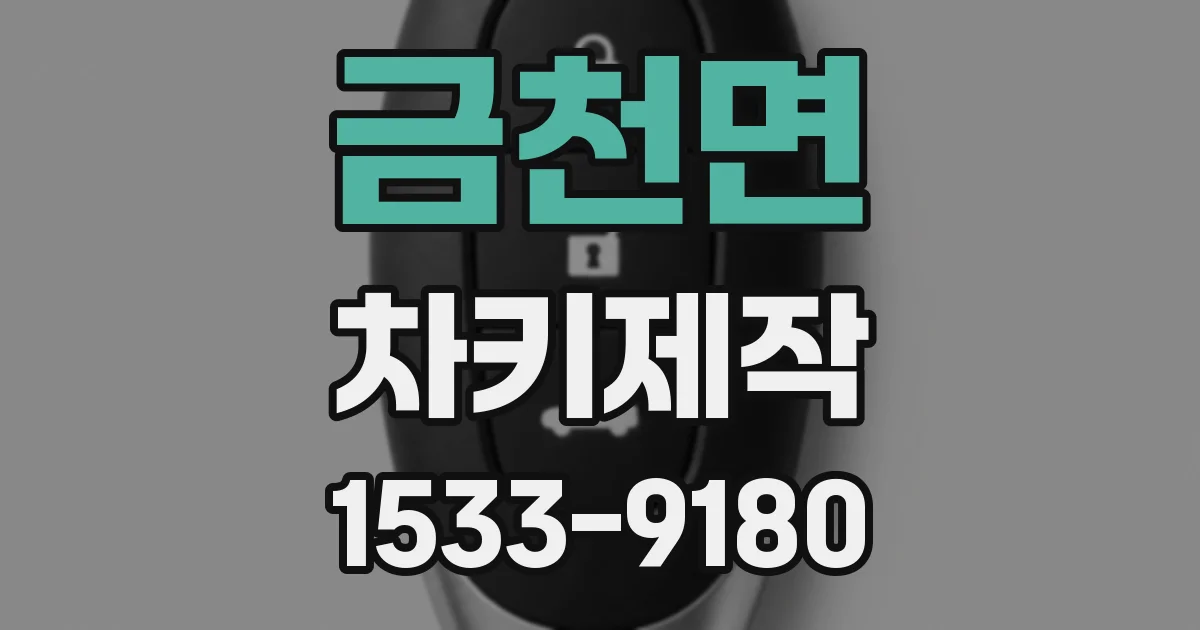 금천면 차키제작