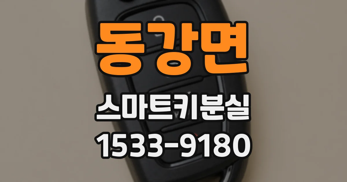 동강면 스마트키분실