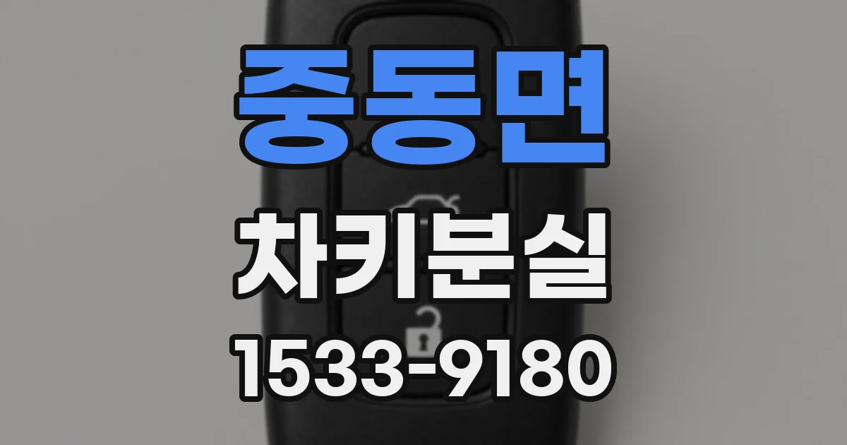 중동면 차키분실