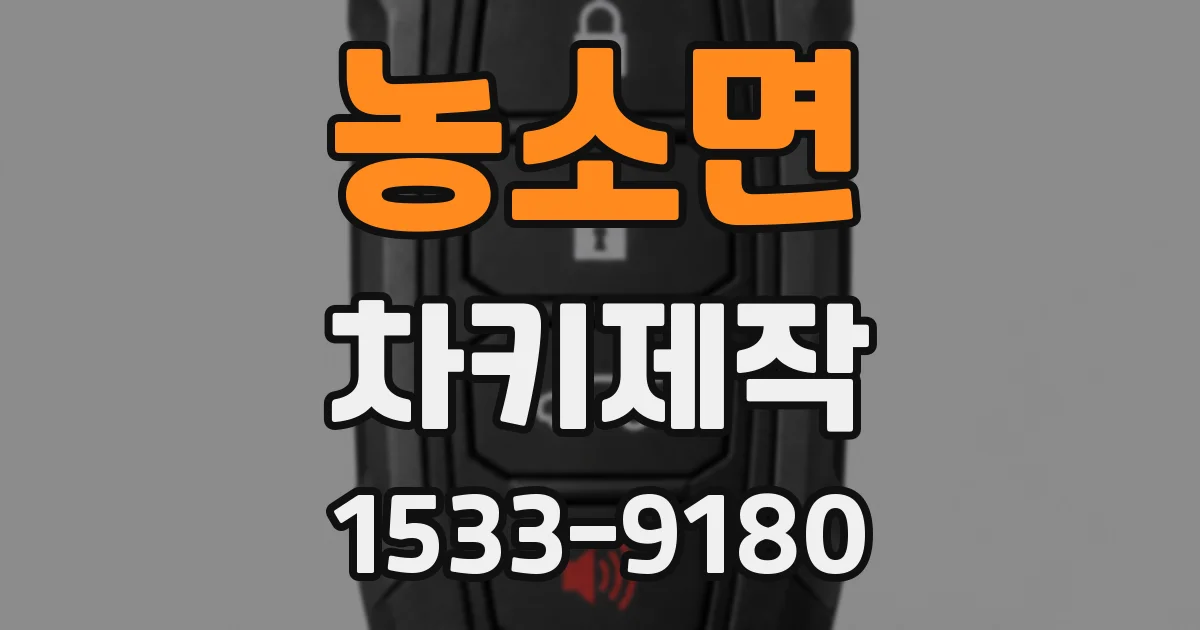 농소면 차키제작