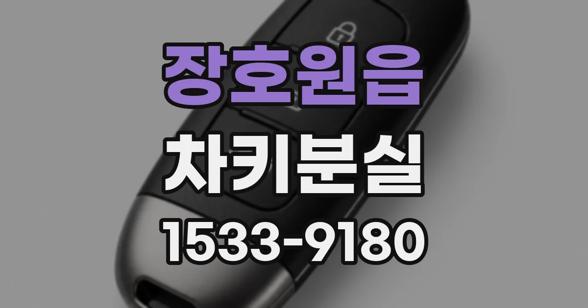 장호원읍 차키분실