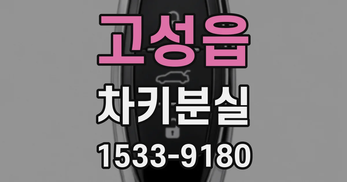 고성읍 차키분실