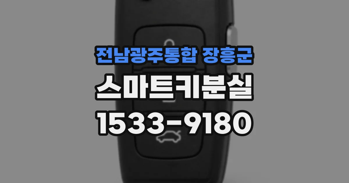 전남광주통합 장흥군 스마트키분실