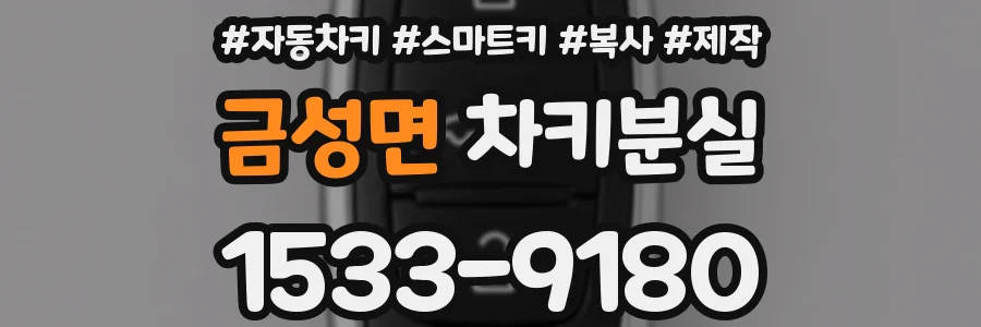 금성면 차키분실